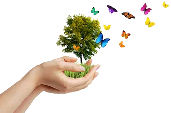 tree with butterflies